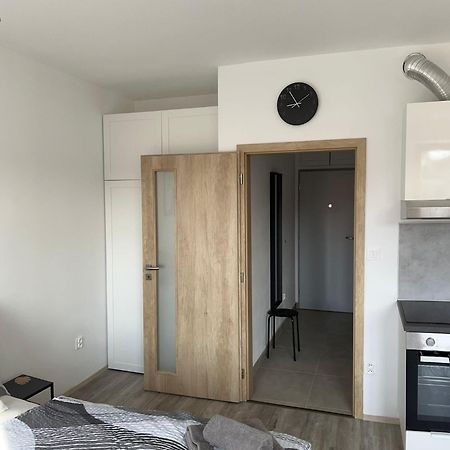 Apartament Apartman U Tedyho Kasperske Hory Zewnętrze zdjęcie